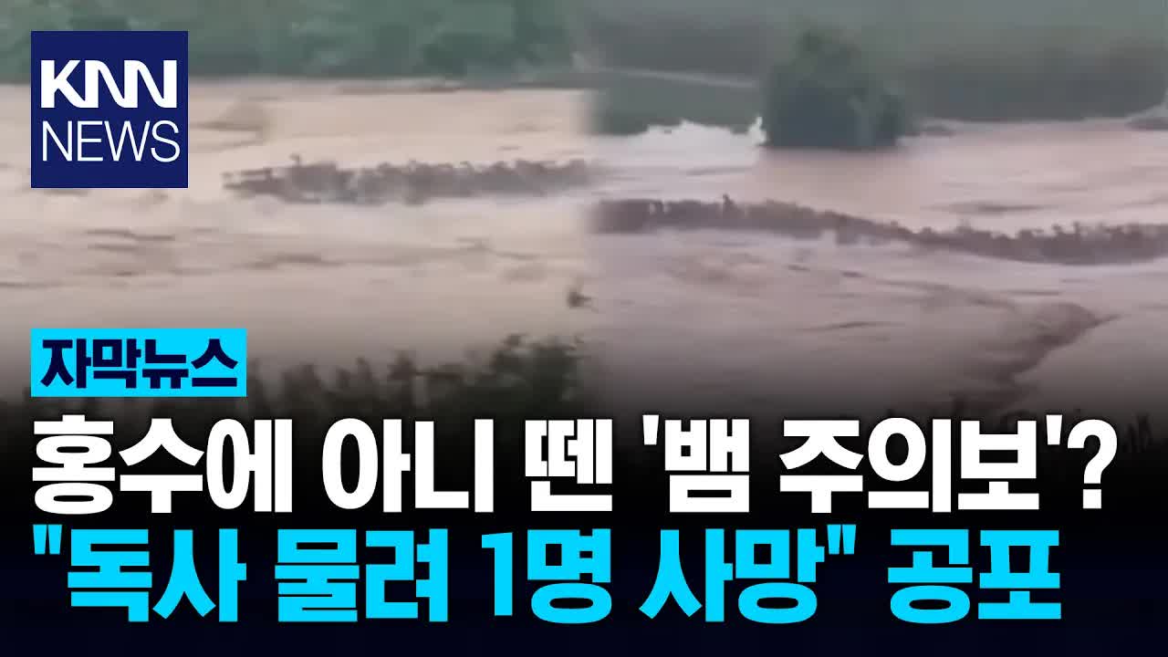 홍수 속 탈출한 독사들, 코브라까지?