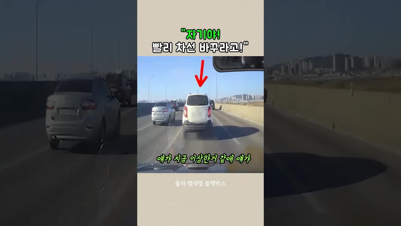 고속도로에서의 고의적 정지 위험 상황