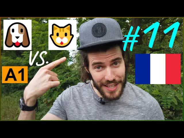 Mes animaux domestiques : chiens et chats