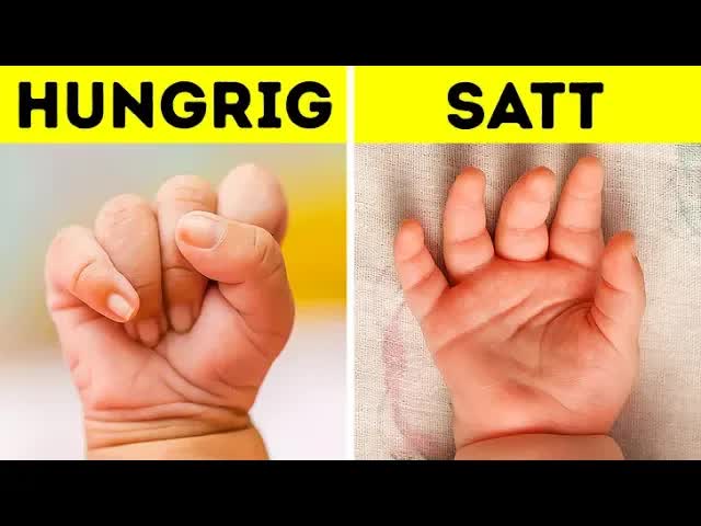 Was Babys mit ihrem Schreien meinen