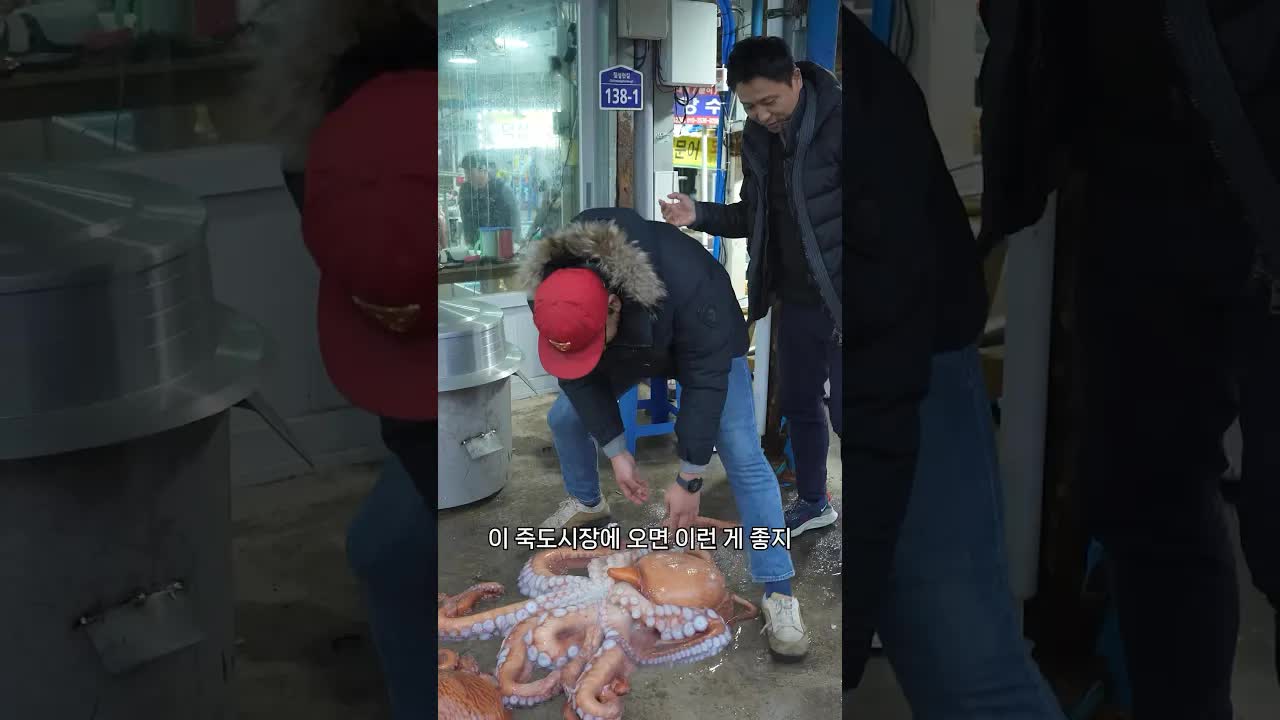 포항 죽도시장에서 해산물 먹방