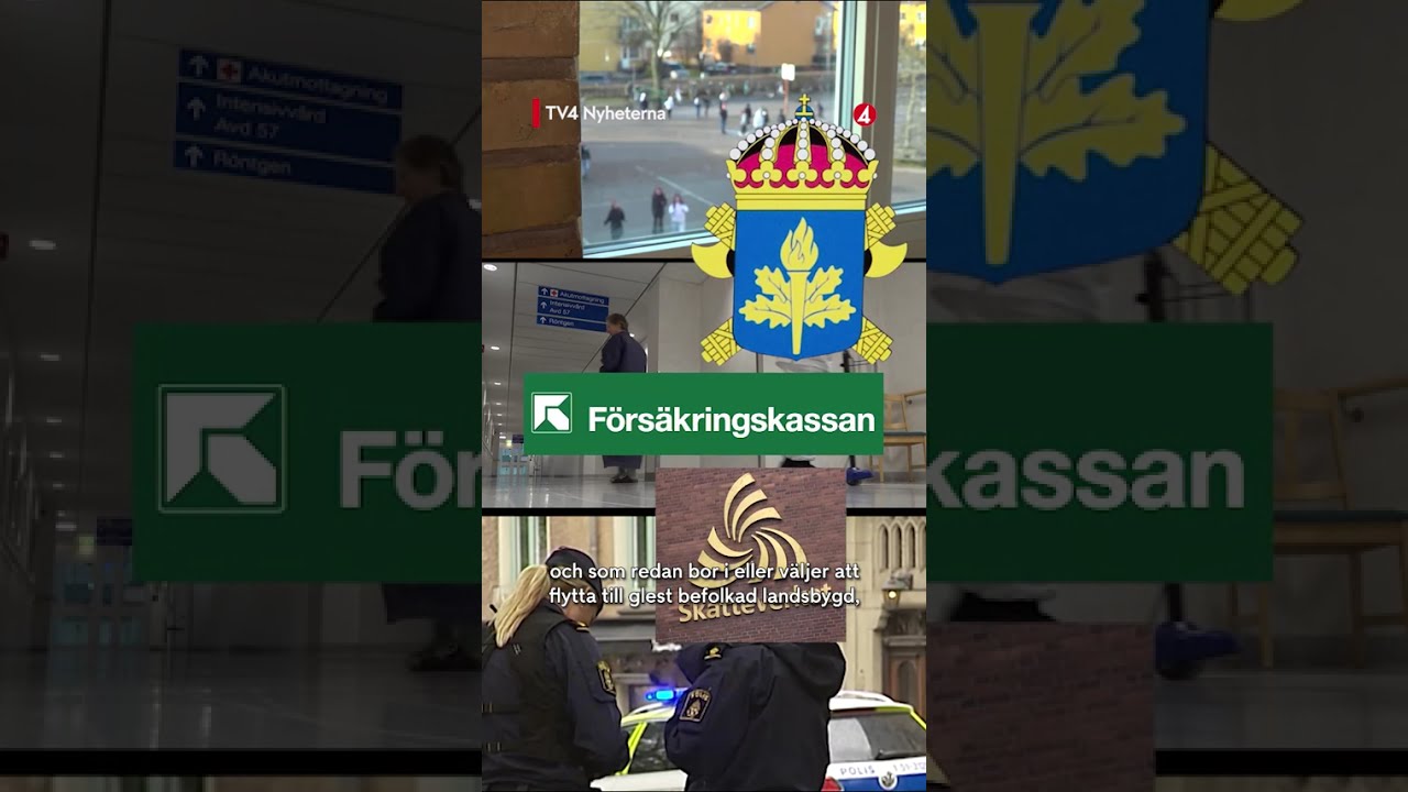 SD vill sänka studieskulder i glesbygden