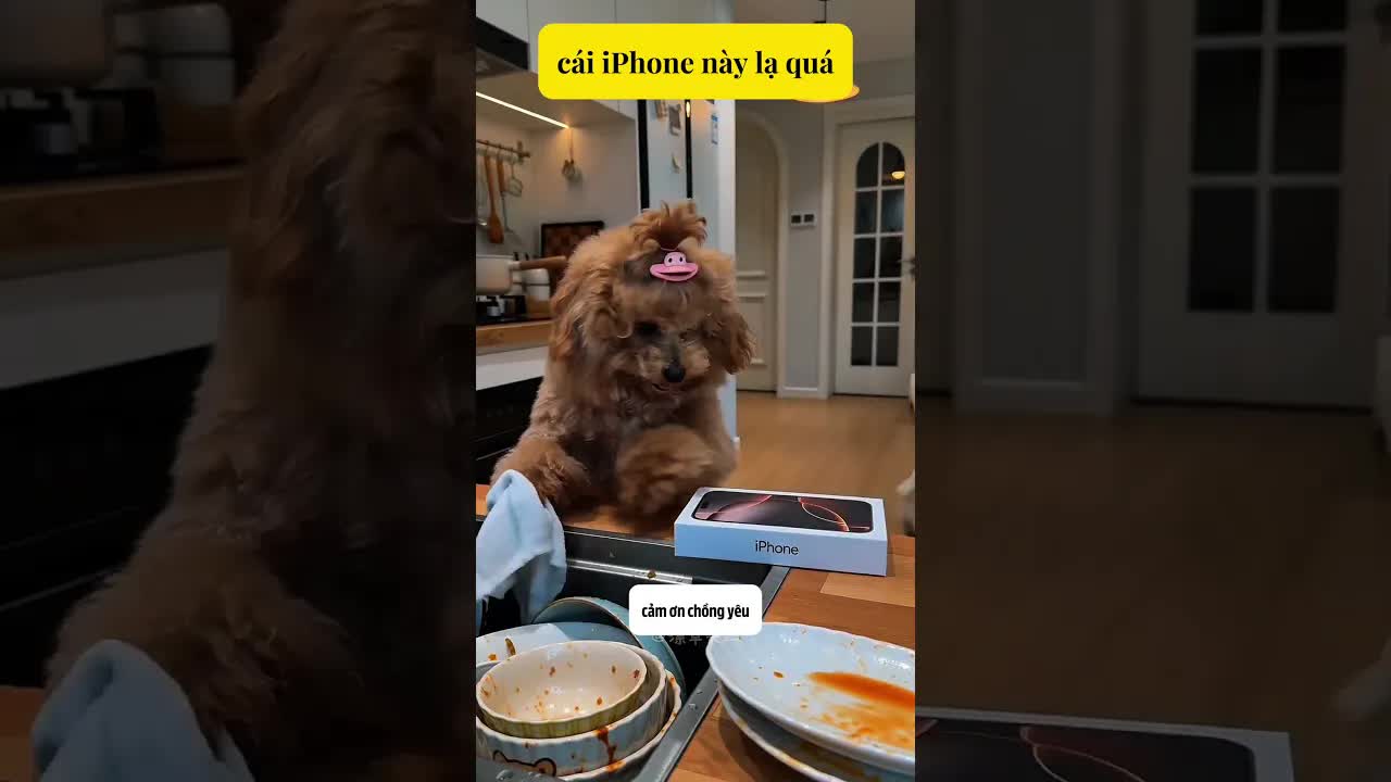 Chồng tặng iPhone mới cho vợ đang rửa chén