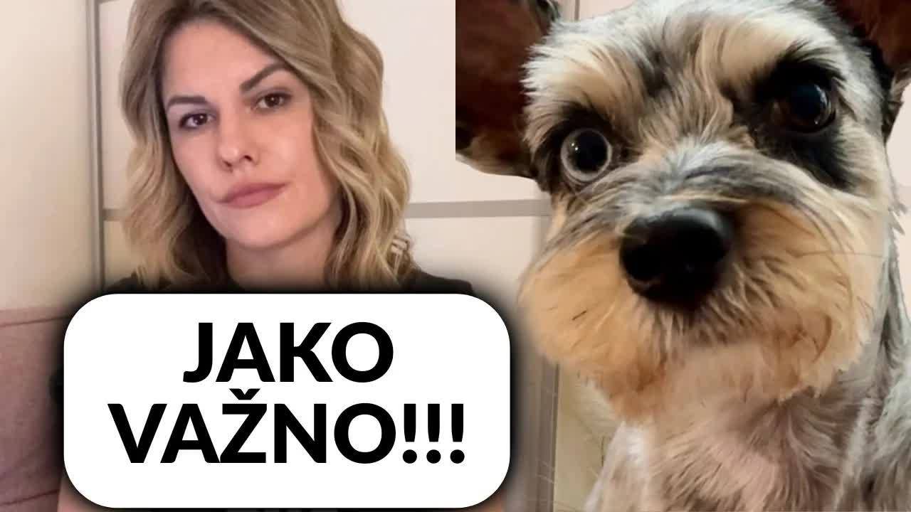 Nepravda prema Pixyju i borba s institucijama