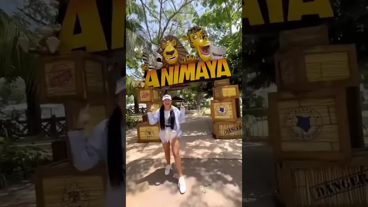 un tigre se escapa en el zoológico