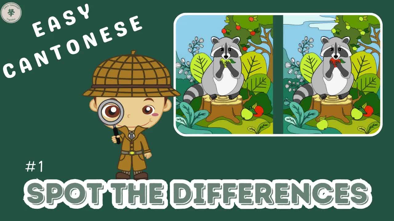 搵出五個唔同嘅地方：浣熊圖