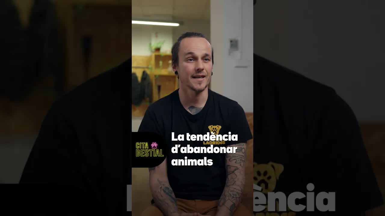 Per què augmenten els abandonaments de gossos a l'estiu