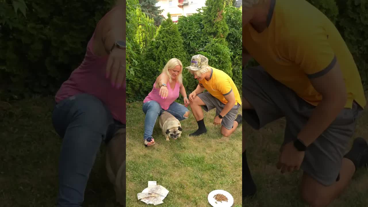 Co wybierze pies: 1000 zł czy karmę?