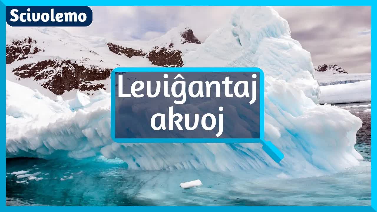 Leviĝantaj Akvoj: Malekvilibritaj Glaciaj Tavoloj