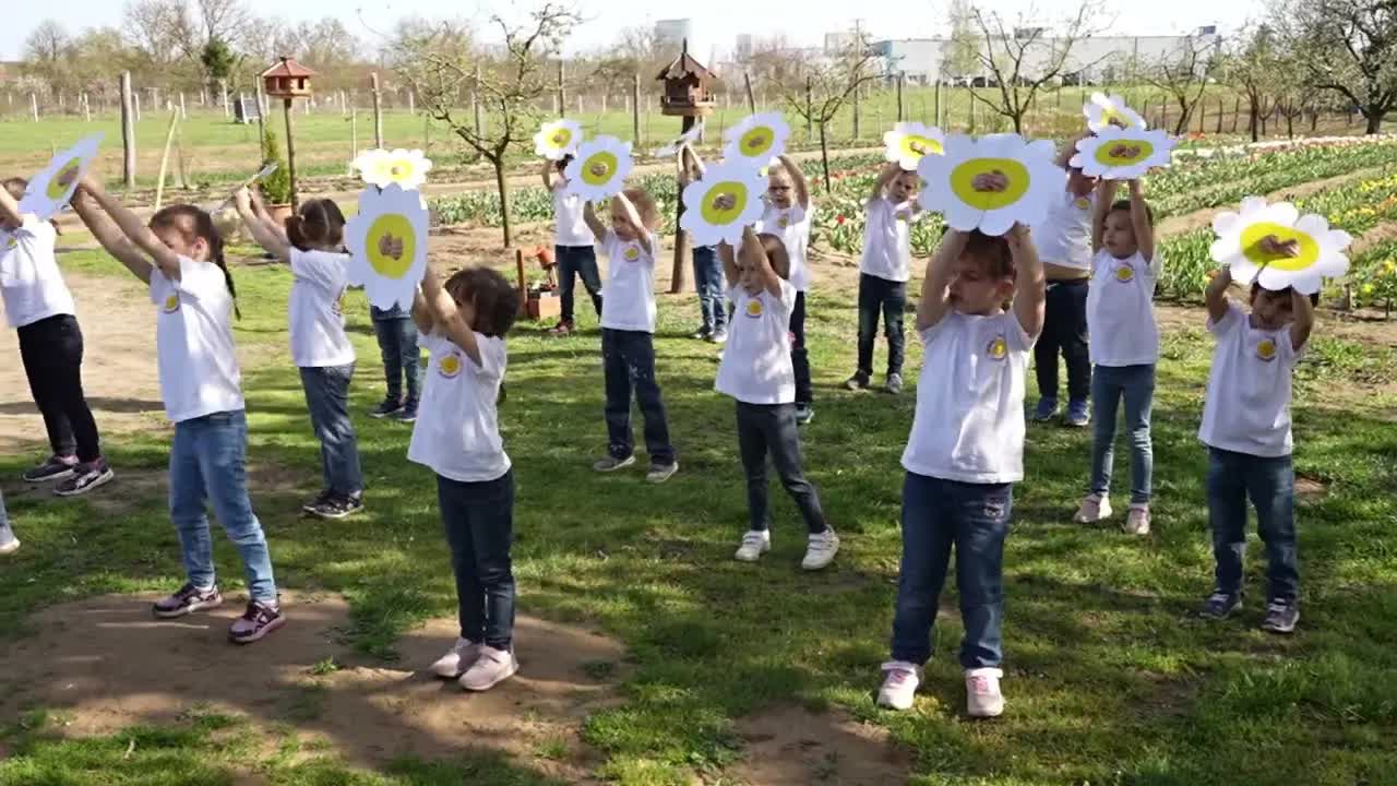 Anyák napi köszöntő vers Tulipánkertben