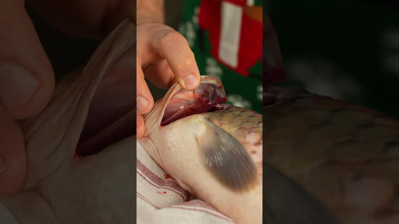 Szegedi Halászlé Főzés Karácsonyra