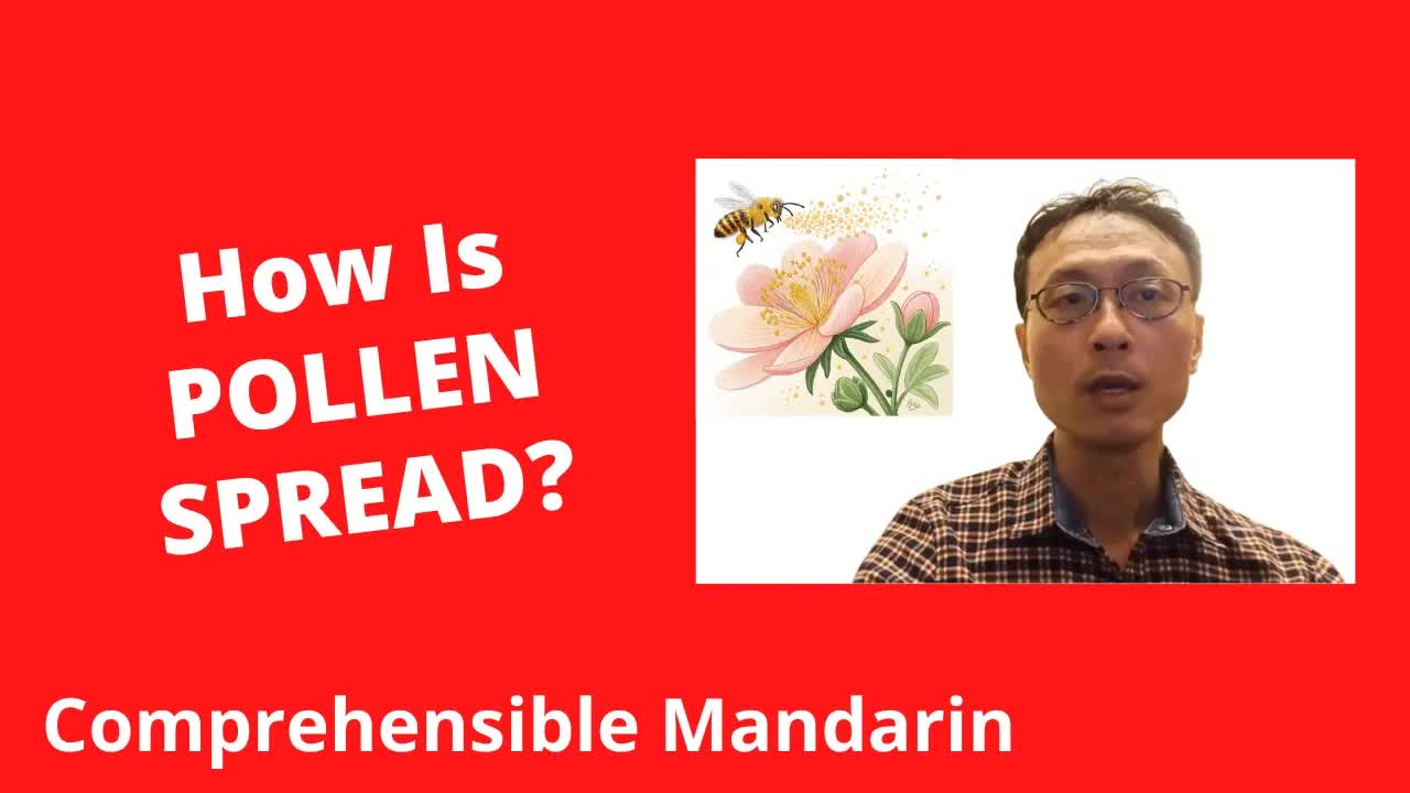 花粉是如何传播的