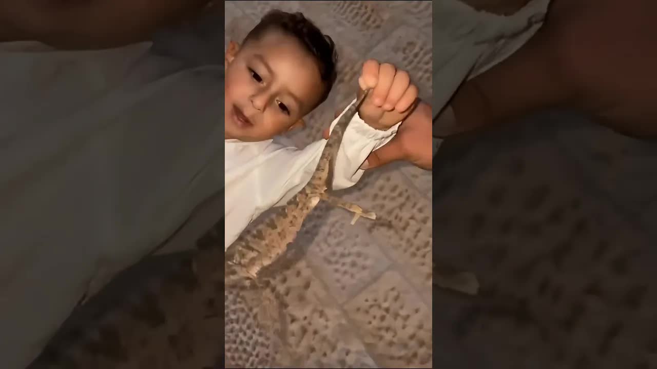 آخذه من الشارع وربيته؟