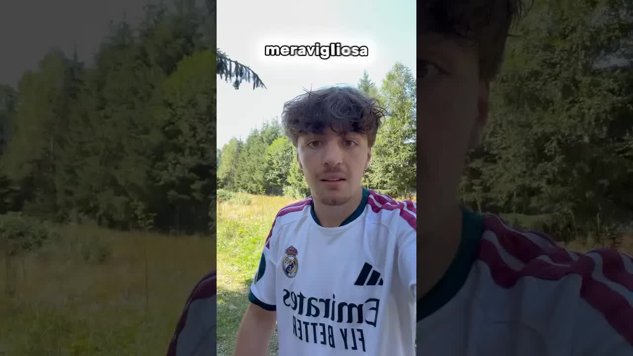 Due caprioli nel giardino del campeggio
