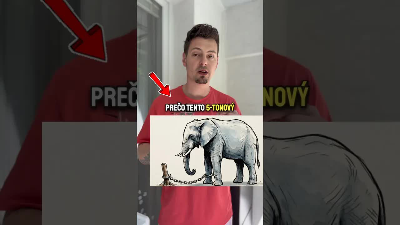 Naučená bezmocnosť: Prečo sa slon nevyvviaže?
