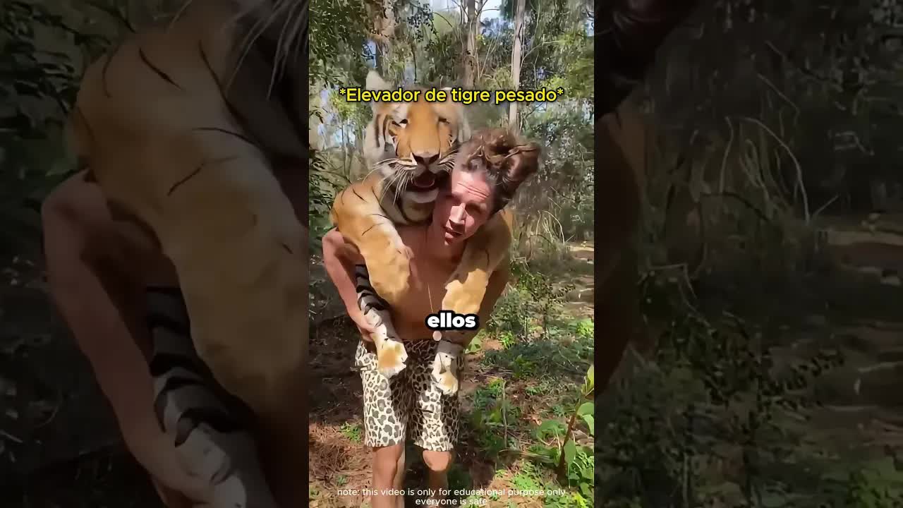 La amistad de un chico con animales salvajes