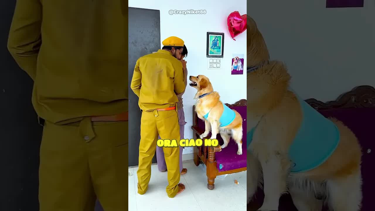 Il cane implora l'agente per il suo padrone