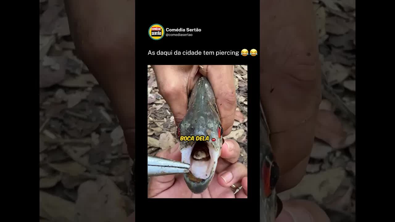 Reação Engraçada à Piranha no Sertão
