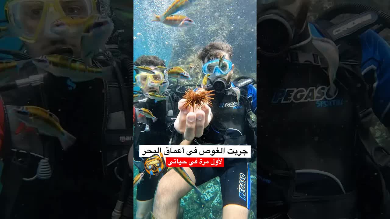 تجربة الغوص الأولى في الجزائر 🌊