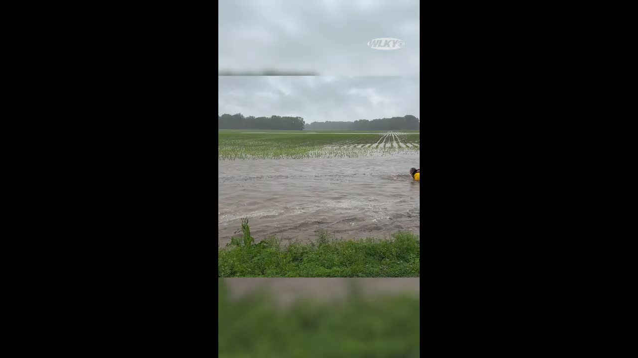 Firefighter Rescues Baby Deer From Floodwaters