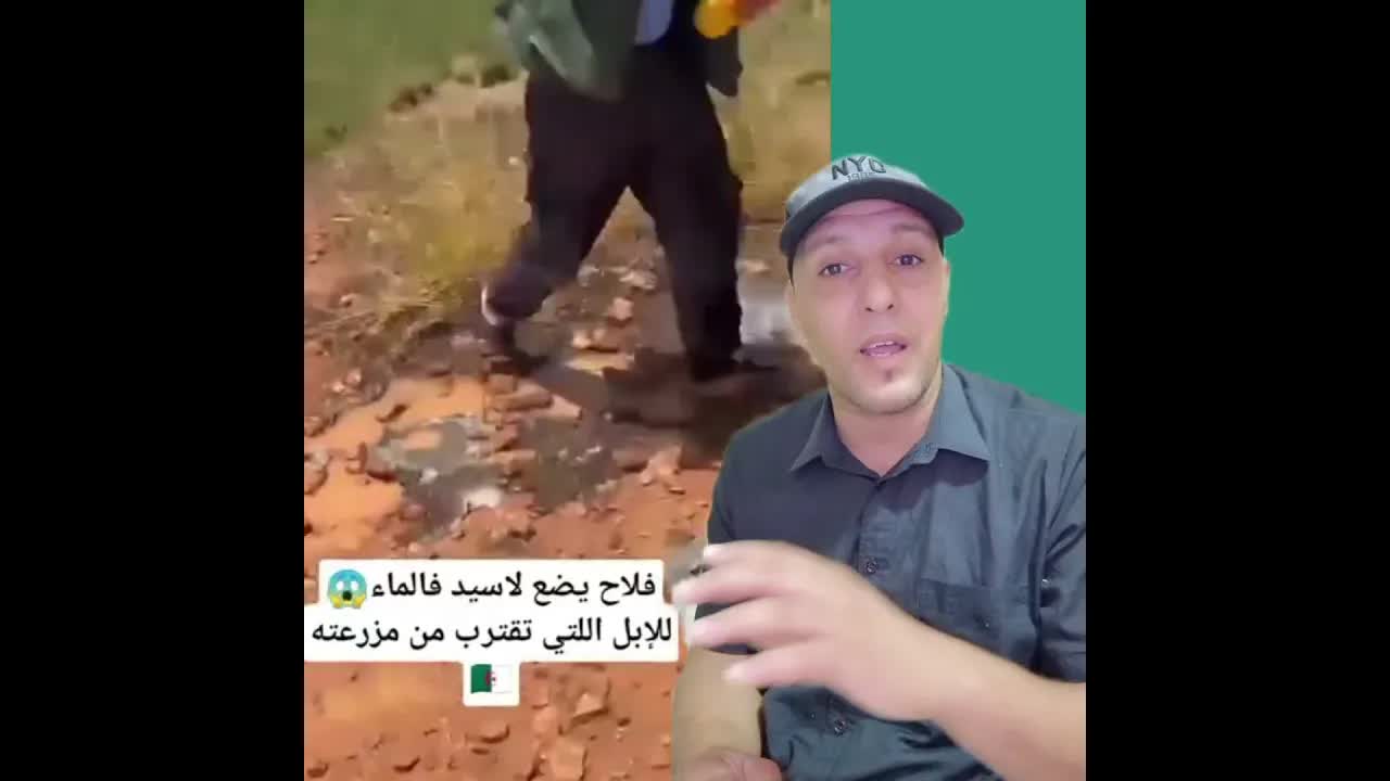 فلاح جزائري يضع لاسيد في الماء باش الإبل ما ترجعوش للمزرعة