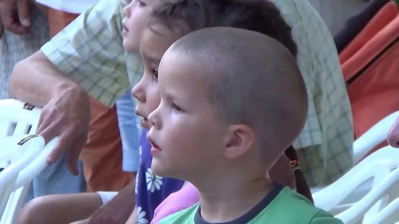 Juhász és az állatok nyelve: Színpadi jelenet