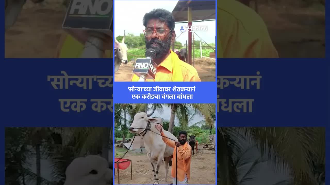 पंढरपूरच्या शेतकऱ्याची बैल आणि मुलांची यशोगाथा