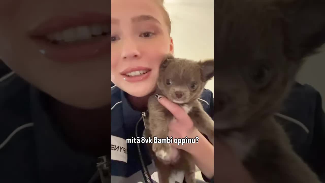 Mitä 8-viikkinen pentu osaa?