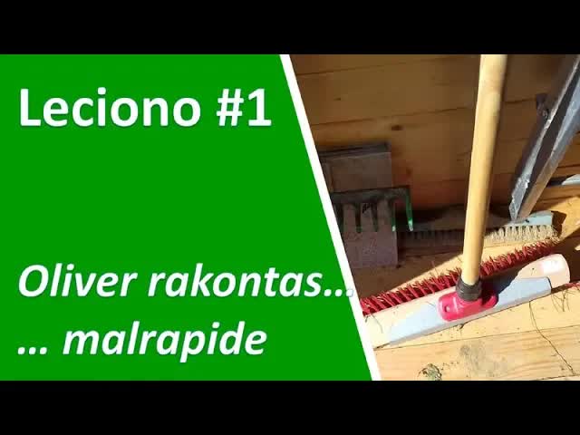 Mi purigis la ĝardenon: Lernu Esperanton