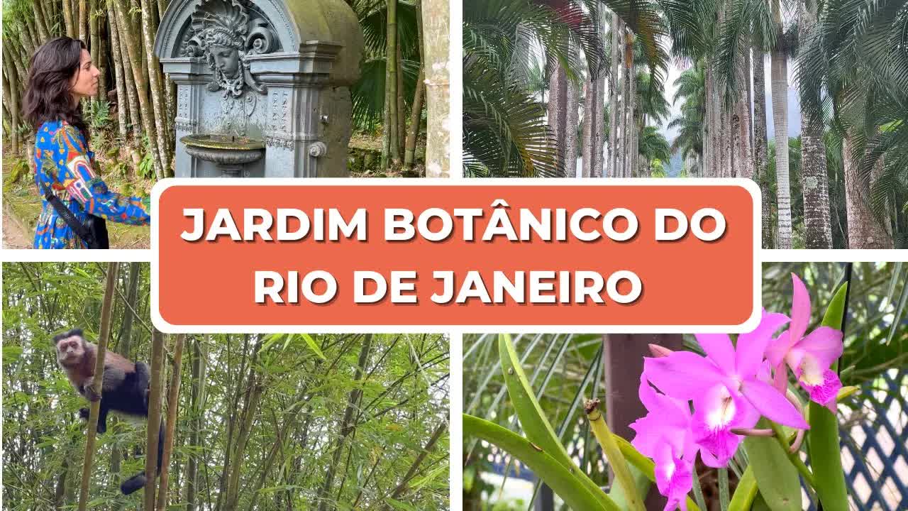 Passeio pelo Jardim Botânico do Rio de Janeiro