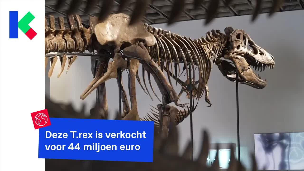 T-Rex Gus verkocht voor recordbedrag