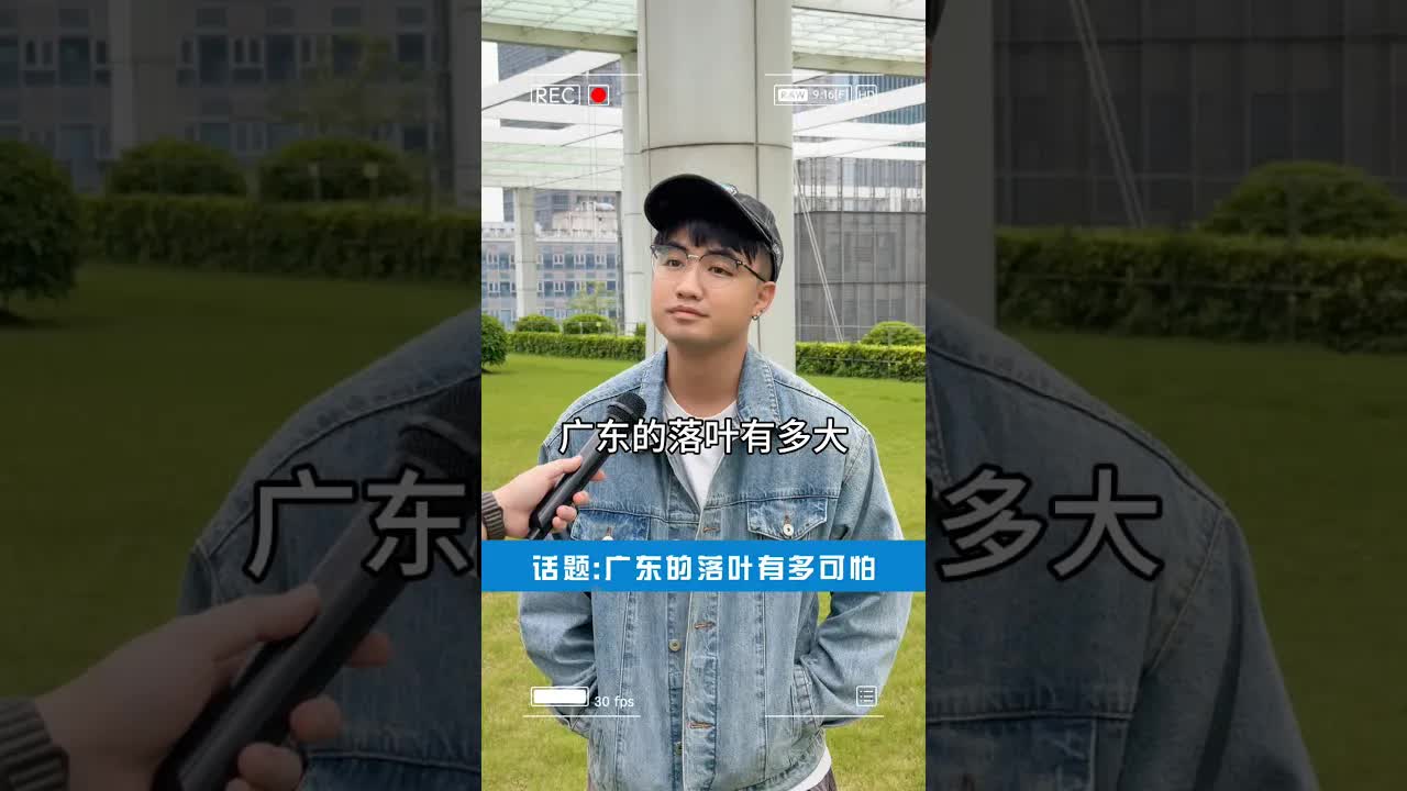 廣東落葉同樹果有多恐怖？