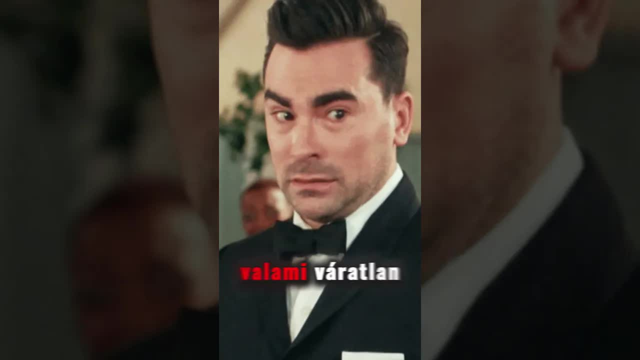 A hűséges kutyák megmentették a kislányt