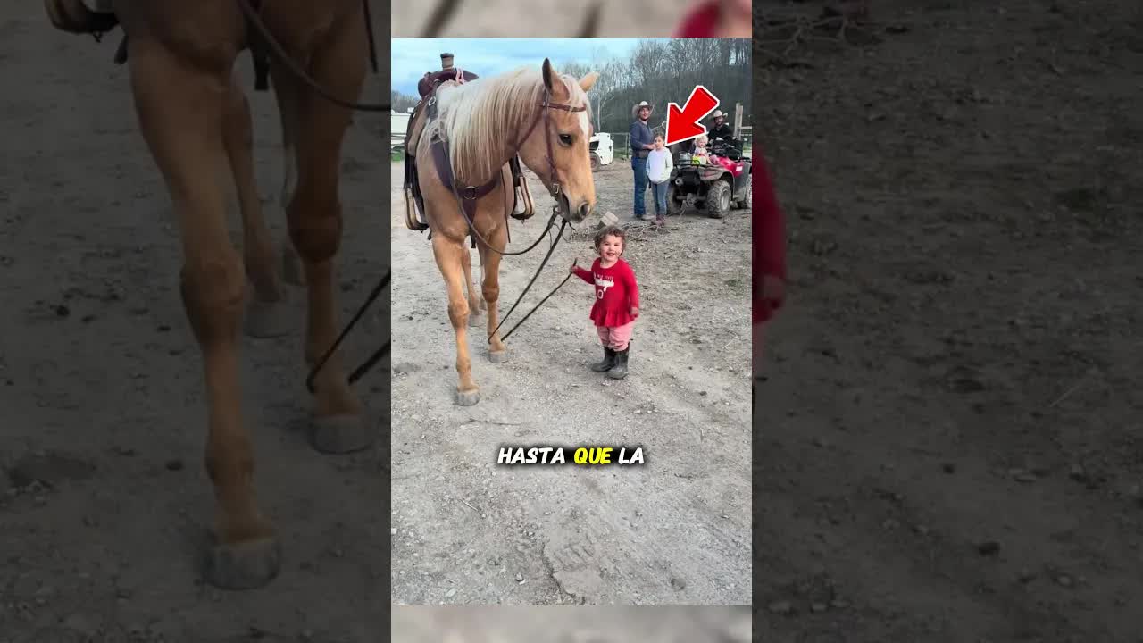 Una niña salva a su caballo atrapado