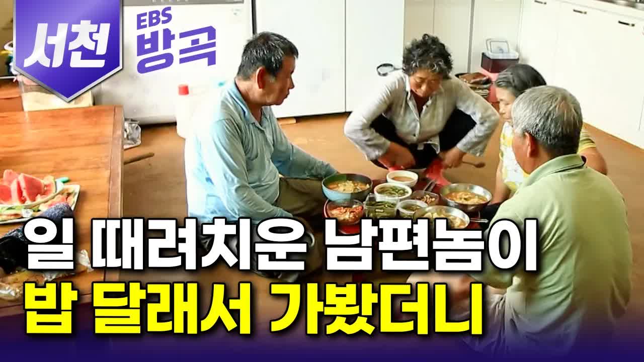 토끼와 거북이 부부의 시골 일상
