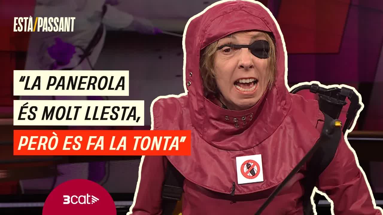 L’estratègia secreta de les paneroles a l’estiu