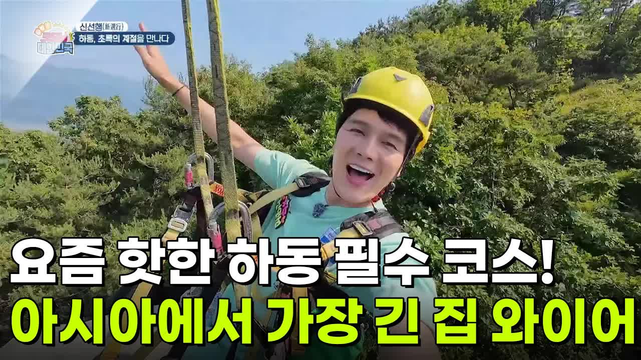 하동 집라인 타기: 아시아에서 가장 긴 코스