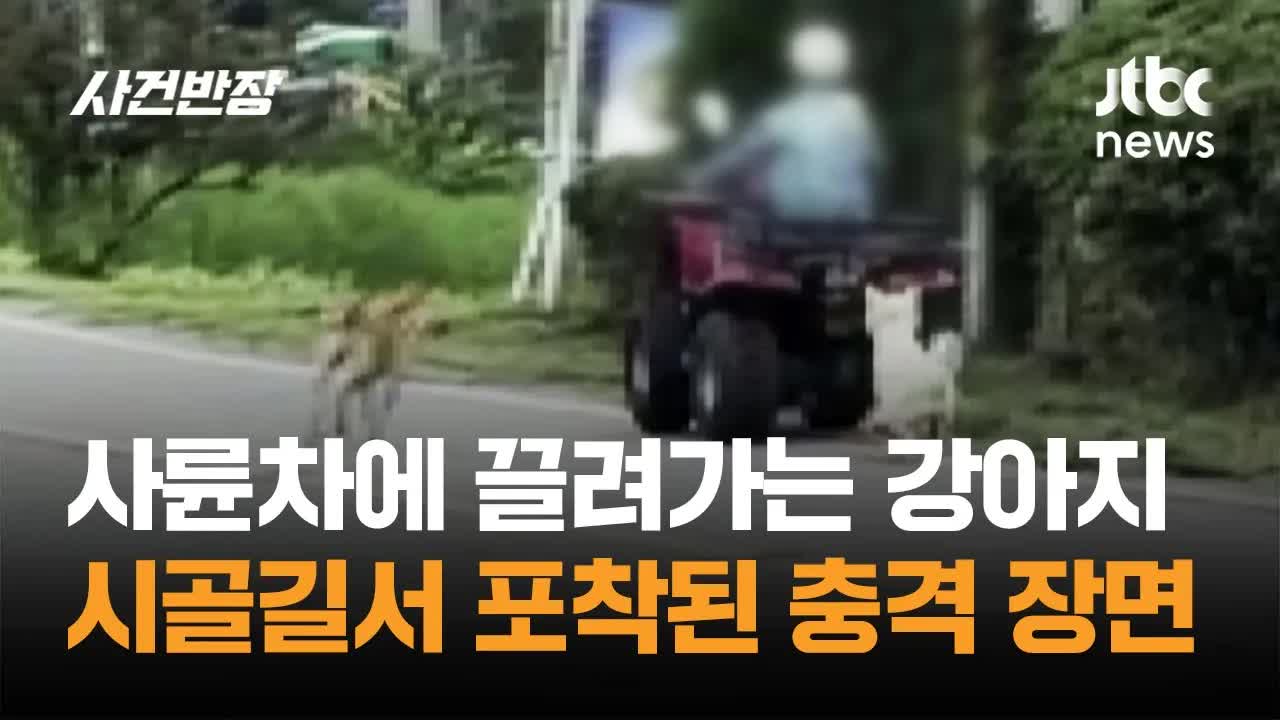 시골길서 사륜차에 끌려가는 충격적인 강아지 제보