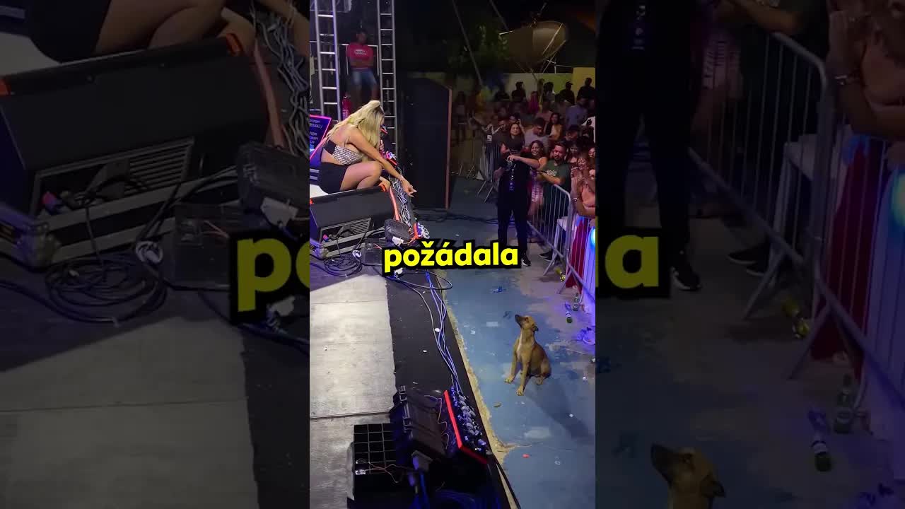 Slavná zpěvačka zachránila opuštěného pejska