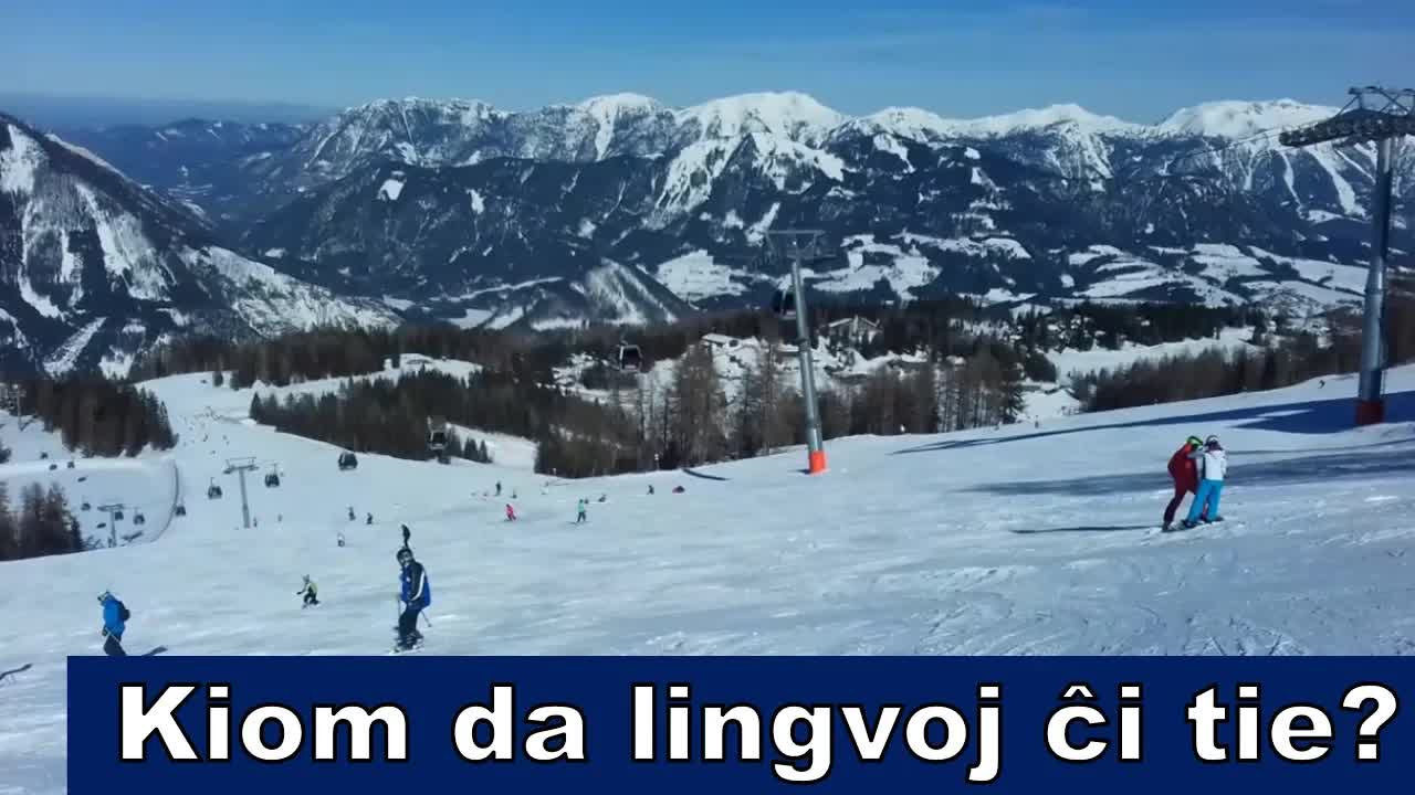 Multaj lingvoj sur la skivego