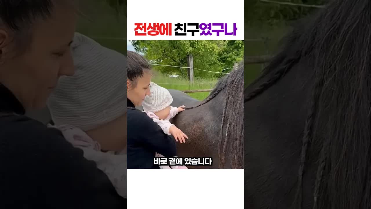 아이와 말의 특별한 만남