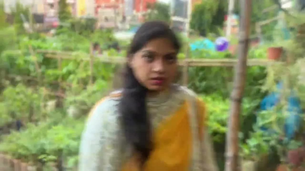 কুমিল্লা বৃক্ষমেলা ও পরিবেশ সচেতনতা