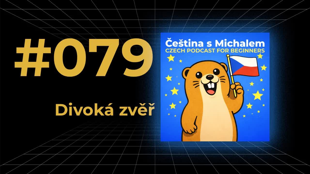 Divoká zvěř ve městě i v přírodě