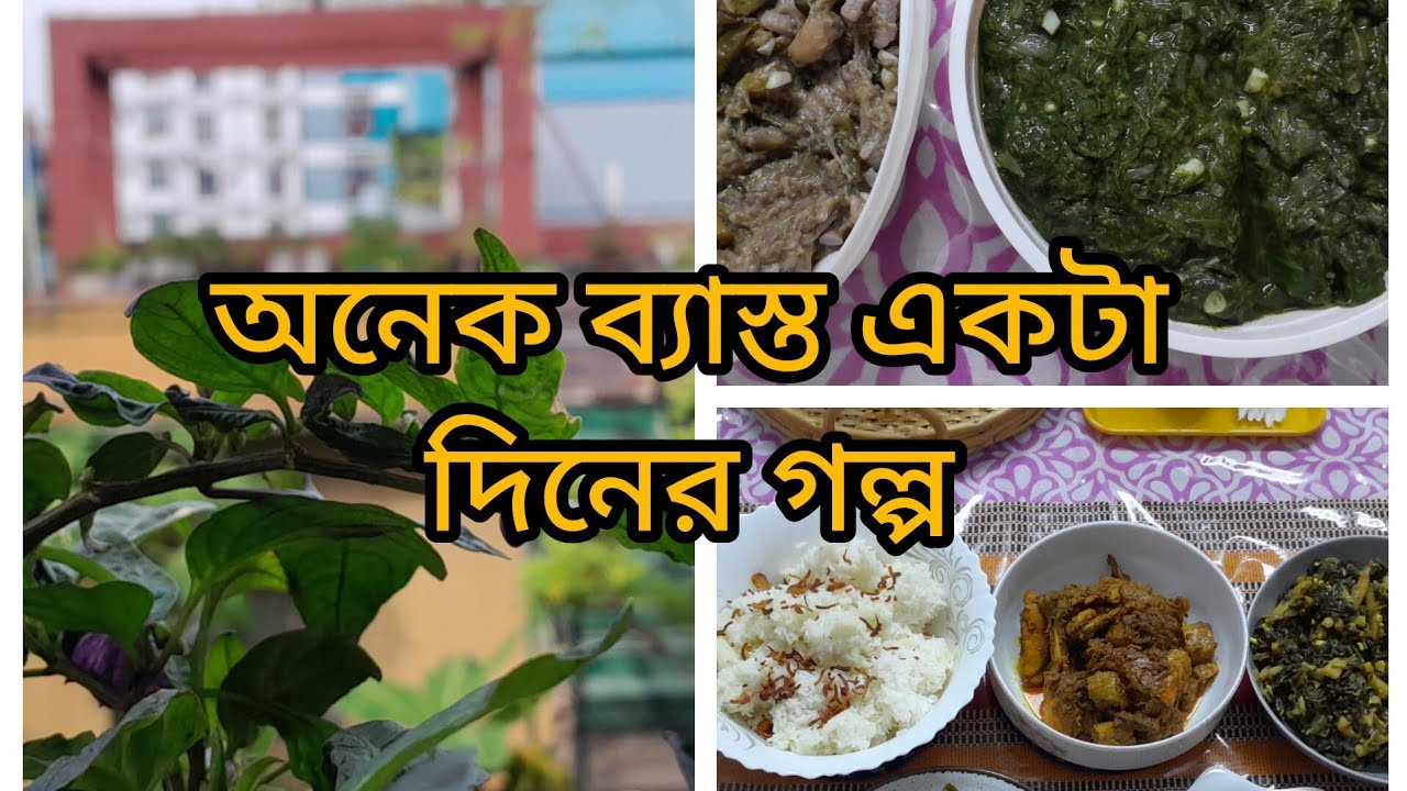 সস্তা বাজার এবং শাকসবজি রান্নার ভ্লগ
