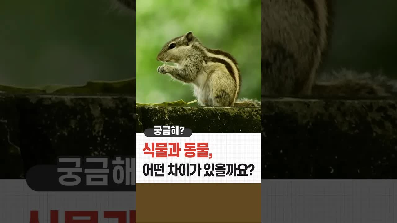 식물과 동물의 차이점 알아보기