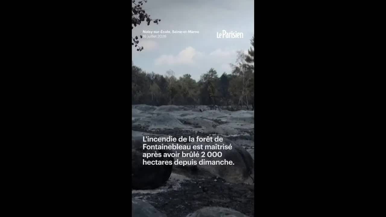 Fontainebleau : bilan des espèces après les incendies