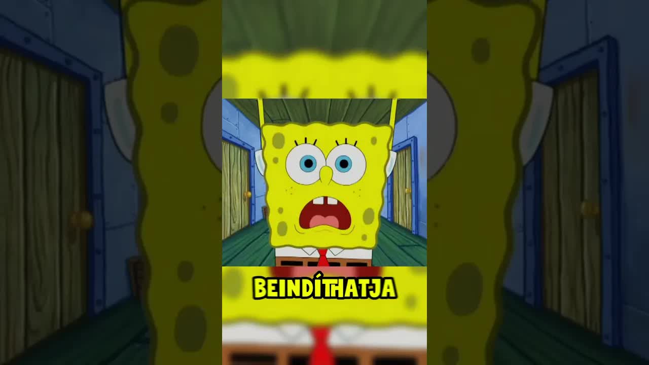 Ha farkassal találkozol, ezt ne tedd