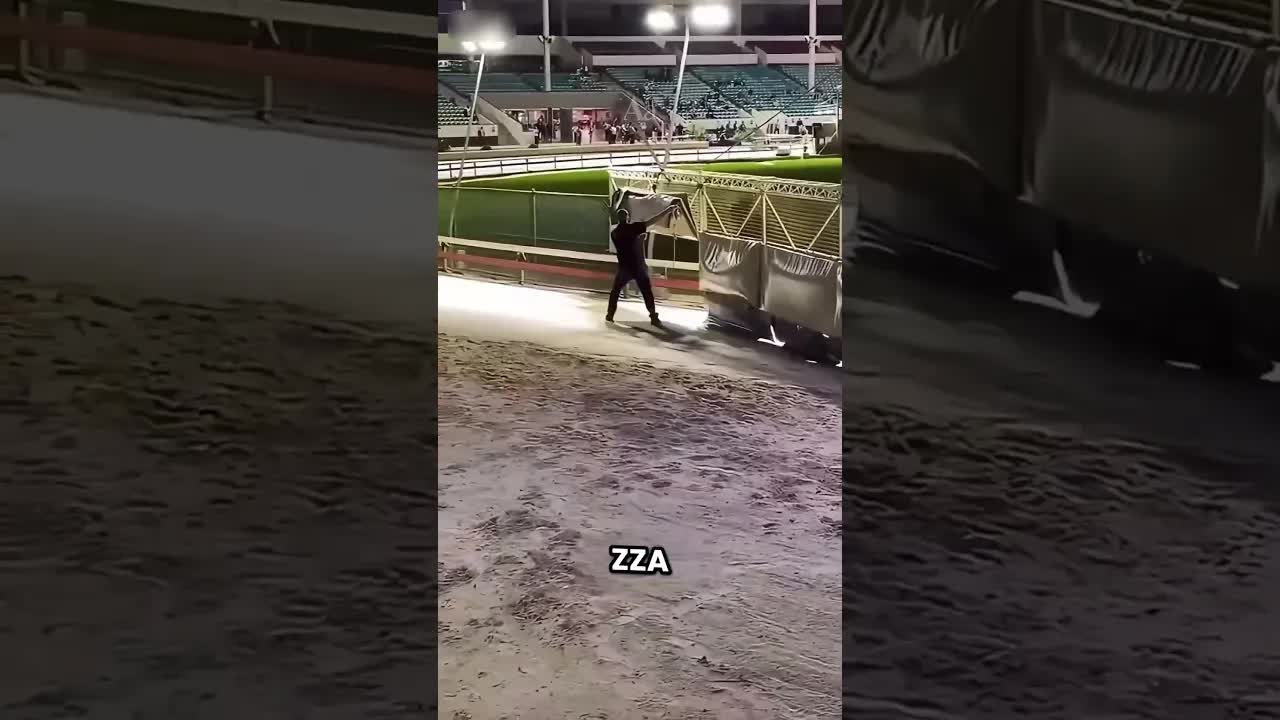Jak zatrzymuje się wyścig chartów?