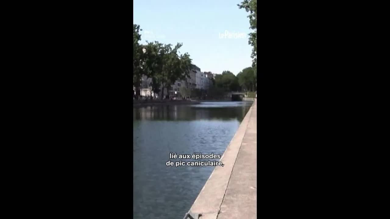 Baignade autorisée au canal Saint-Martin dès mercredi