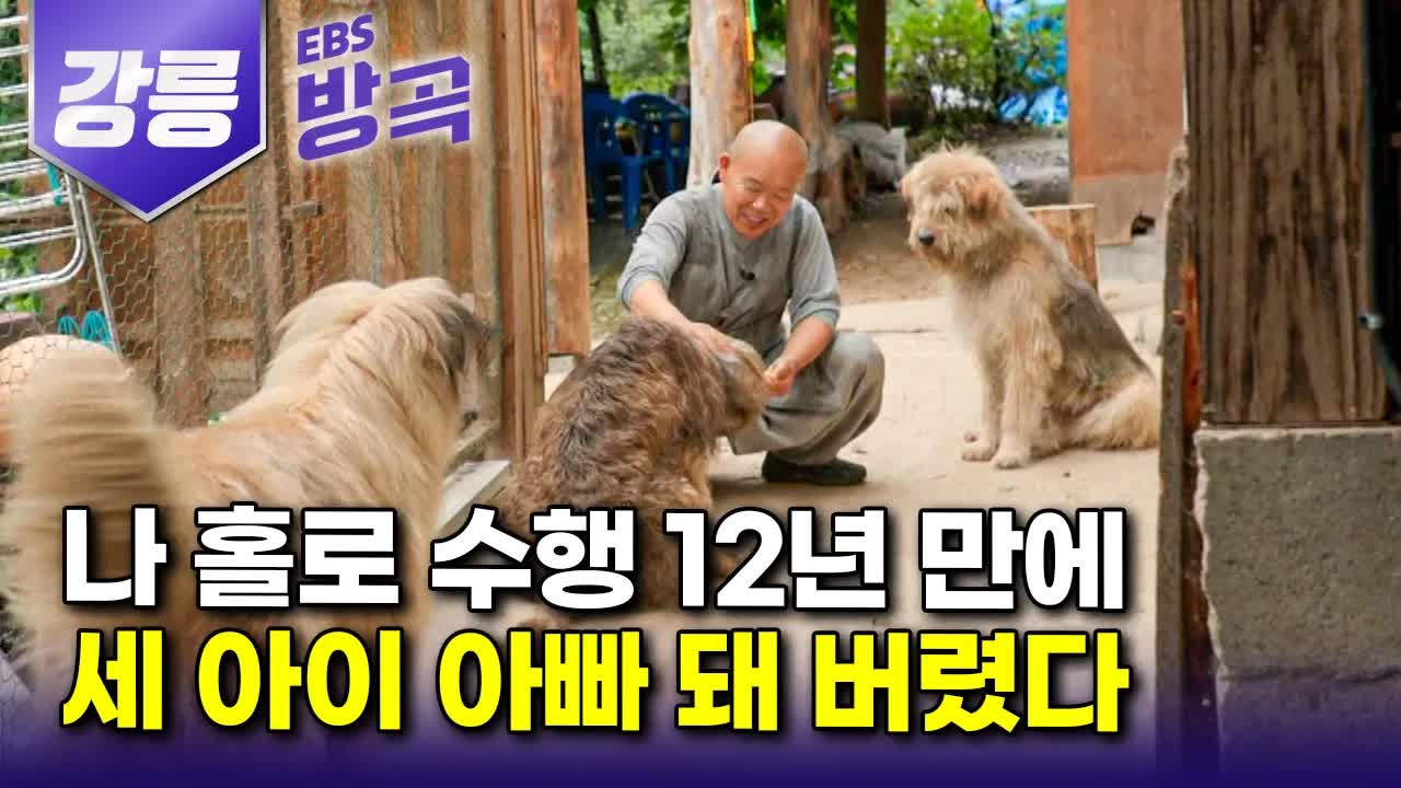해발 700m 산중에서 산 수행 이야기